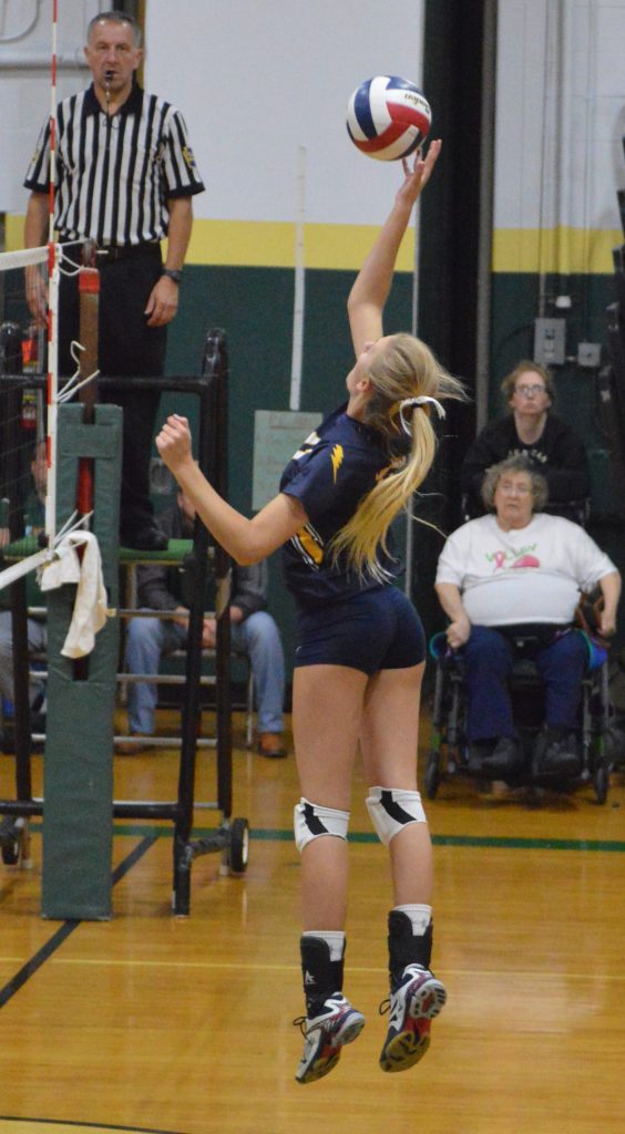 Lady Gators top Carmichaels in 2A volleyball showdown HeraldStandard